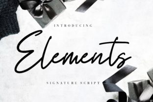 Elements: A Sweet and Bold Script for Modern Creators