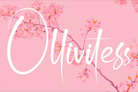 Ollivitess: Crafting a Dainty and Romantic Script Font Style